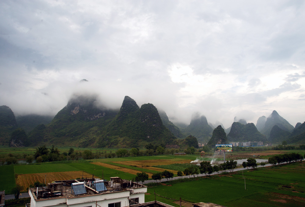 DSC_7971.jpg