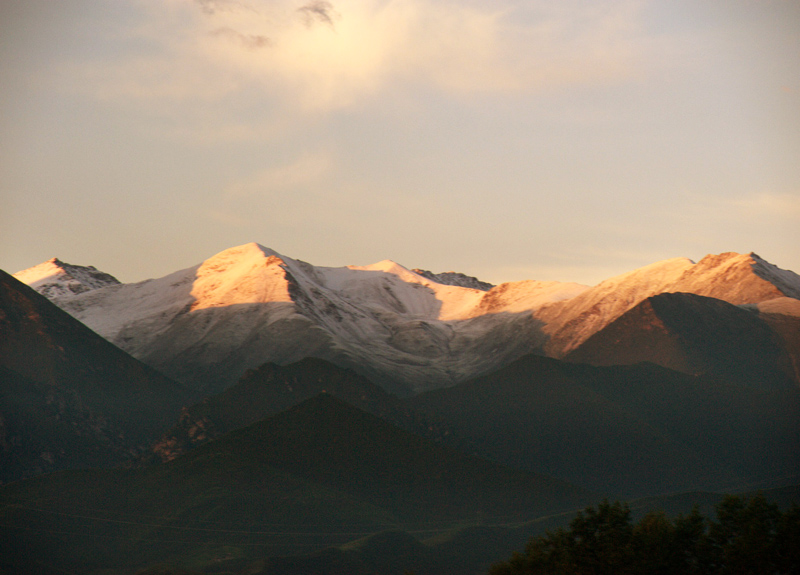 DSC_5943.jpg