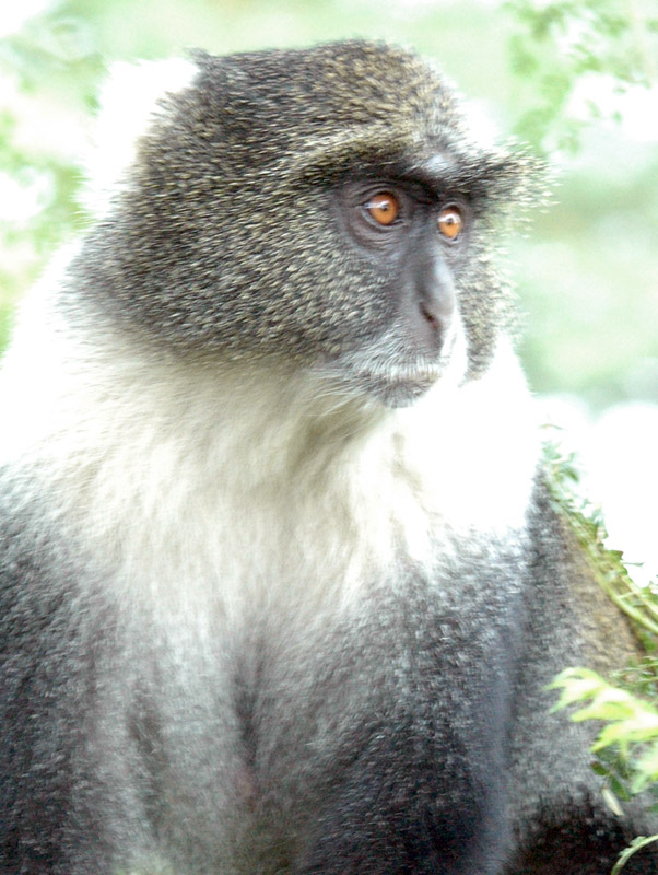DSC_3079.jpg