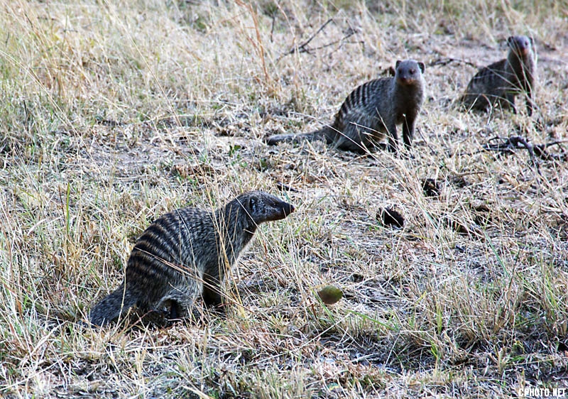 DSC_6306.jpg