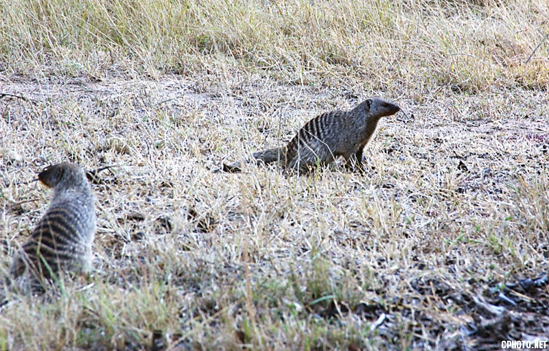 DSC_6309.jpg