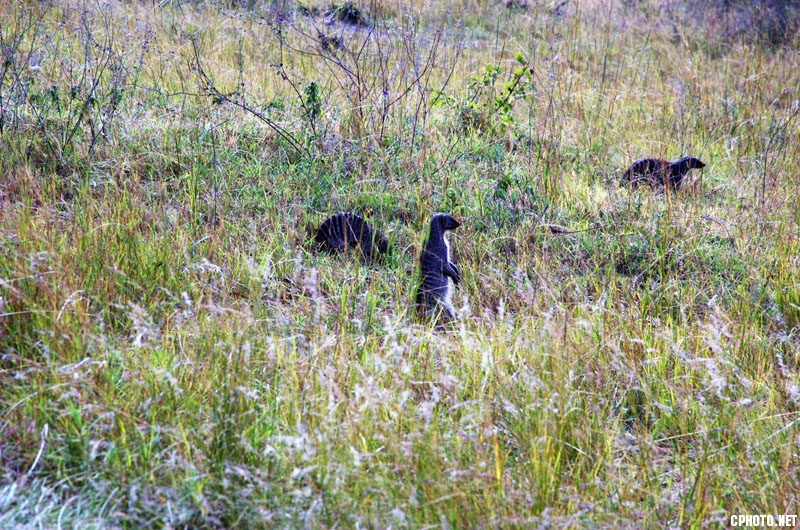 DSC_6294.jpg