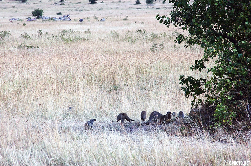 DSC_6300.jpg