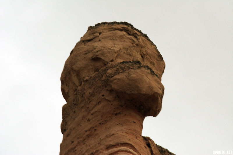 DSC_1503.jpg