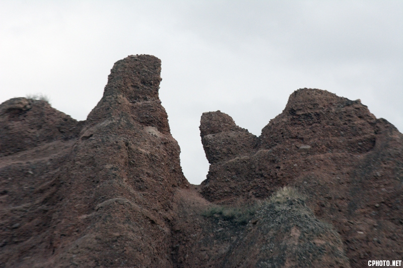 DSC_1511.jpg