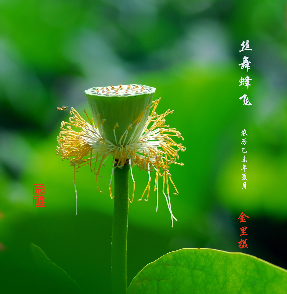 654 105_副本.jpg