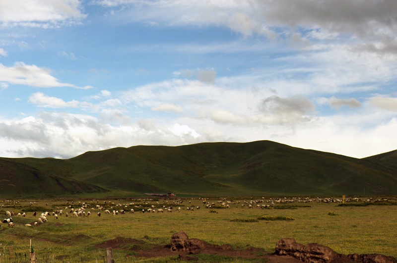 DSC_6243.jpg