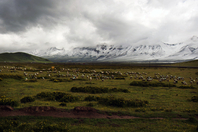 DSC_6252.jpg