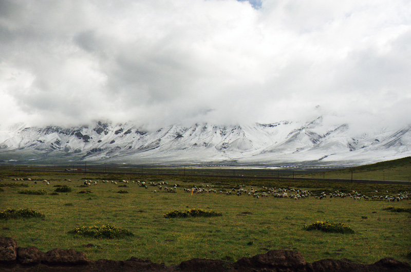 DSC_6254.jpg