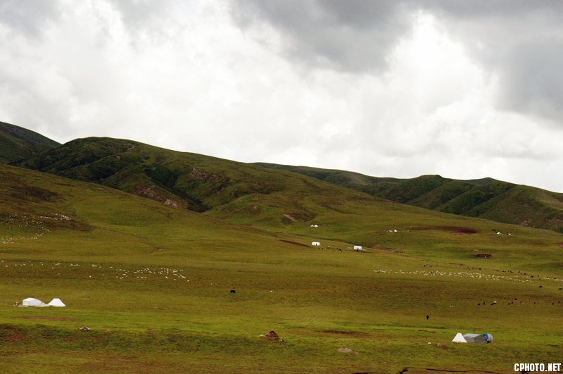 DSC_7271.jpg