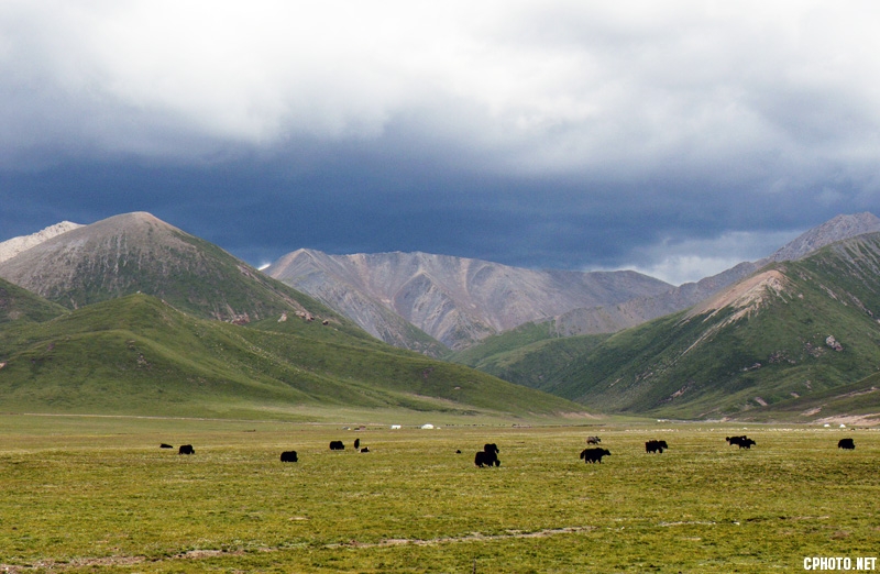 DSC_7276.jpg