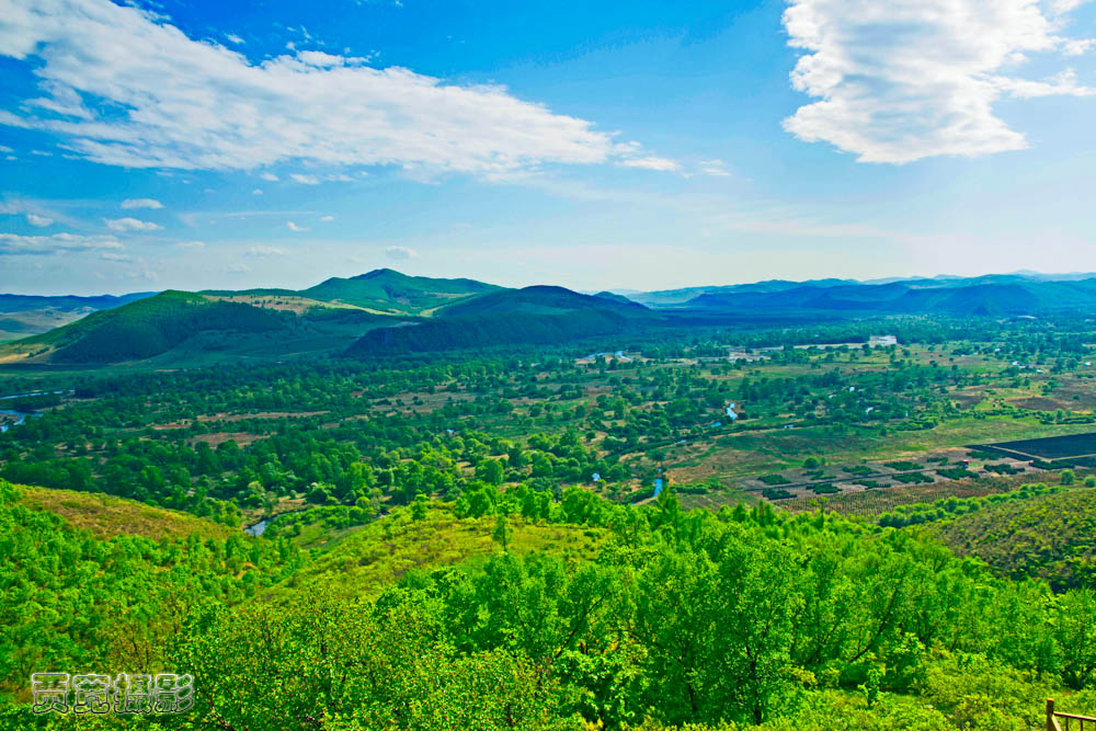 _MG_0190.jpg