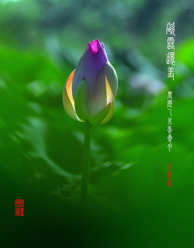 654 074_副本.jpg