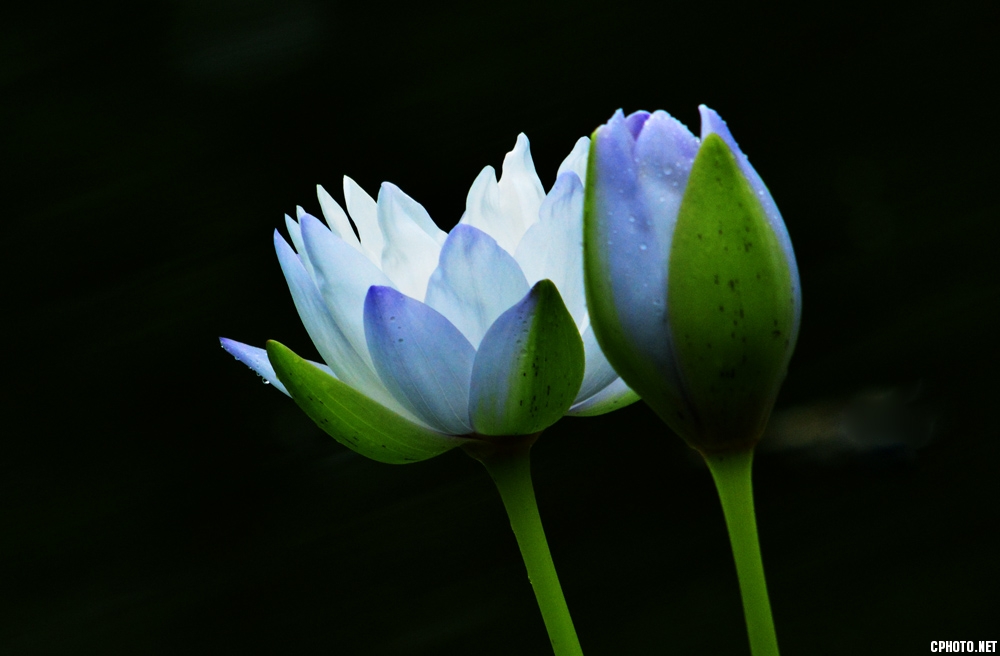 DSC_3406.jpg