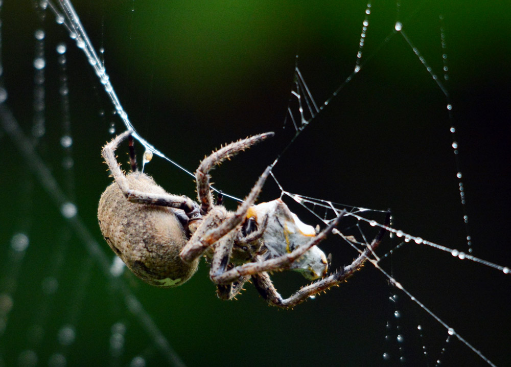 DSC_3481.jpg