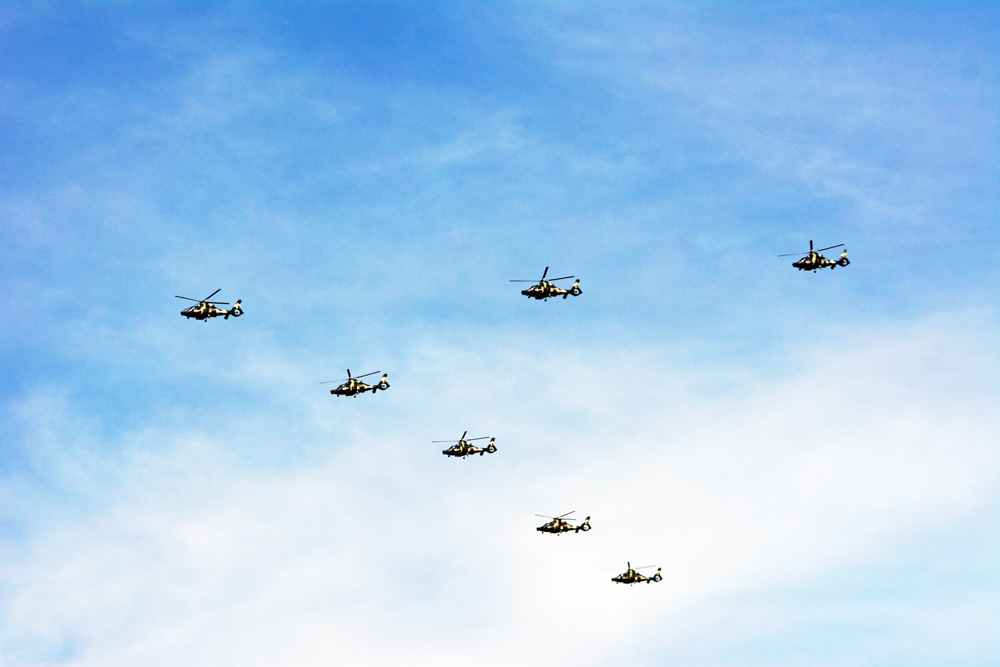 DSC_3998.jpg