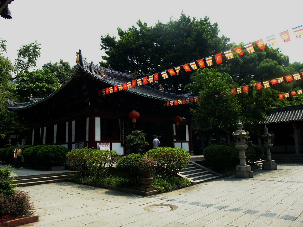 DSCF6367.JPG