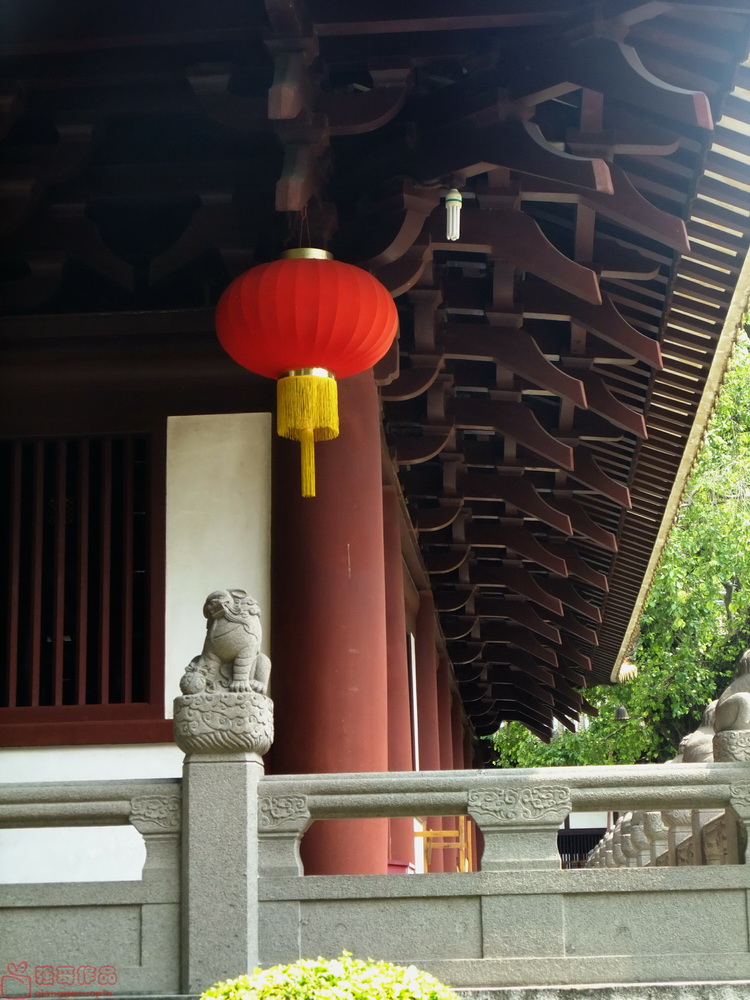 DSCF6366.JPG