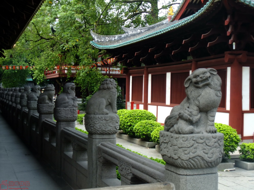 DSCF6383.JPG