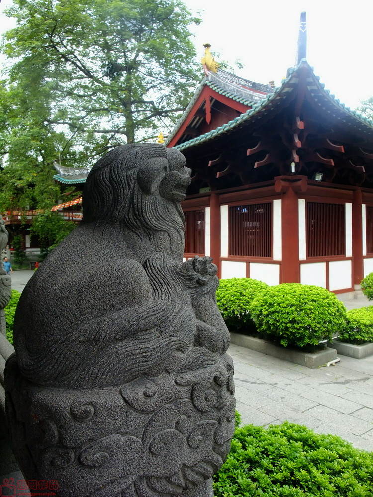 DSCF6393.JPG
