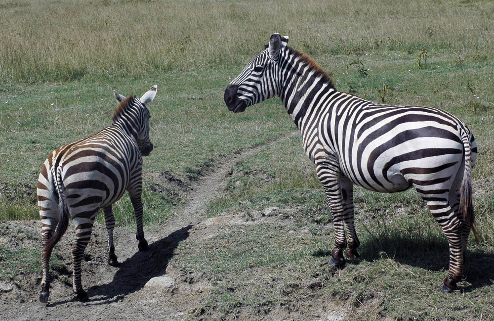 DSC_7725.jpg