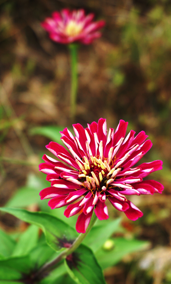 DSC03261_副本.jpg