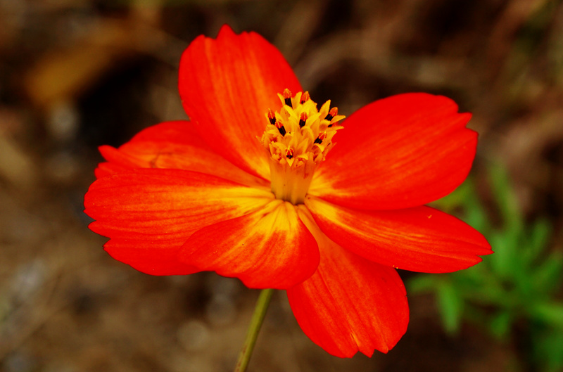 DSC03270_副本.jpg