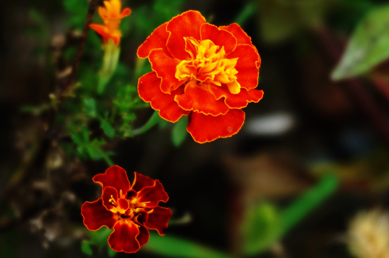 DSC03257_副本.jpg