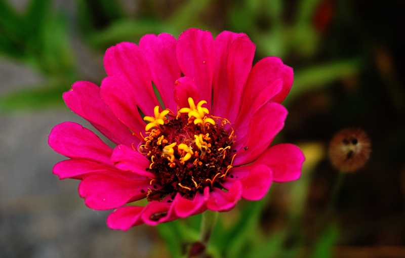 DSC03259_副本.jpg