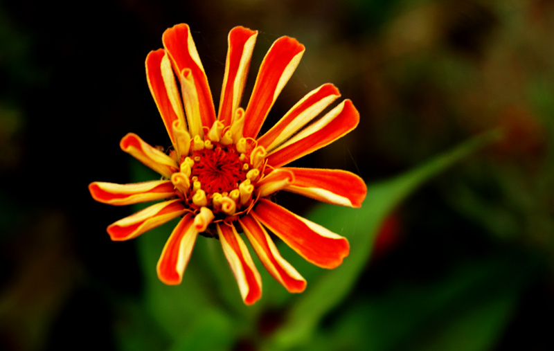 DSC03260_副本.jpg