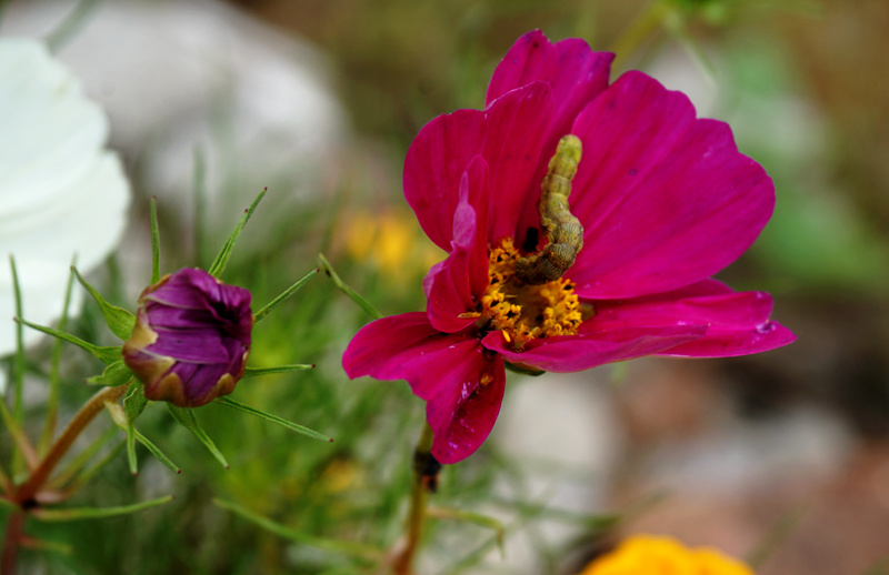 DSC03269_副本.jpg