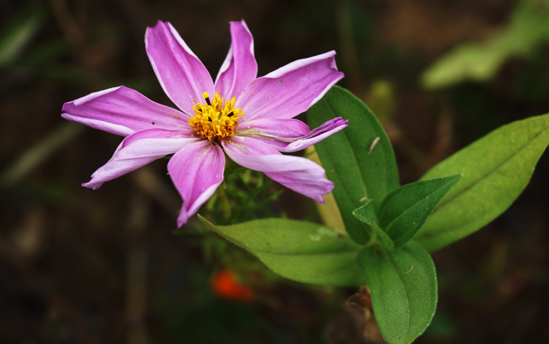 DSC03277_副本.jpg