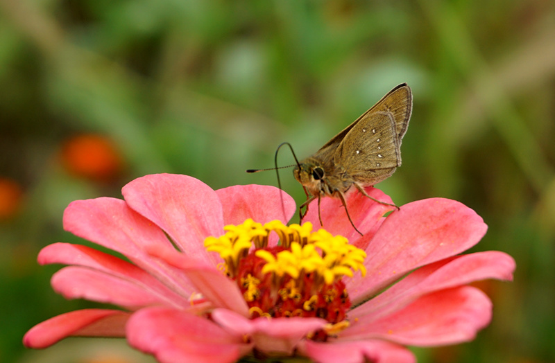 DSC03295_副本.jpg