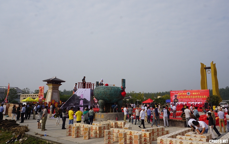DSC02594_副本.jpg
