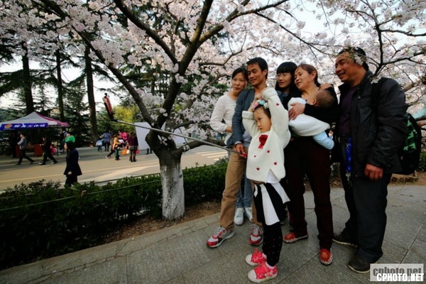 金奖003708exxiixsz3ls1f1uk.jpg