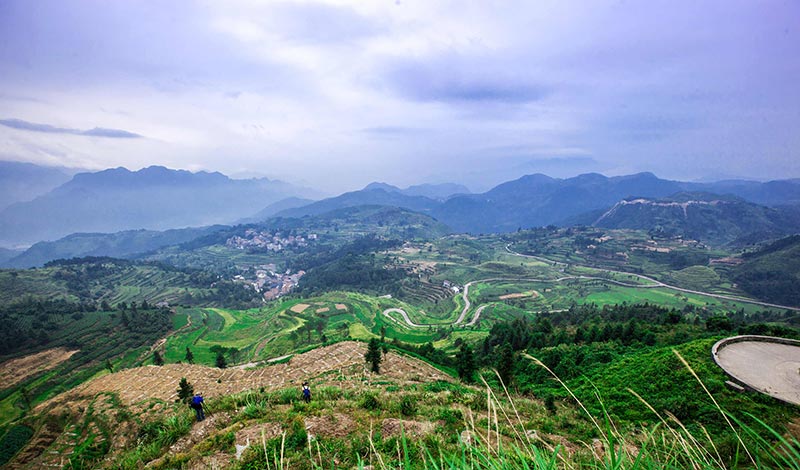 _MG_0157---副本.jpg