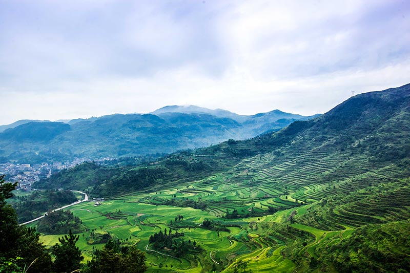 _MG_0180---副本.jpg