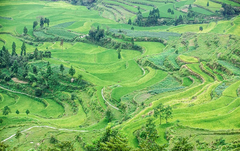_MG_0212---副本.jpg