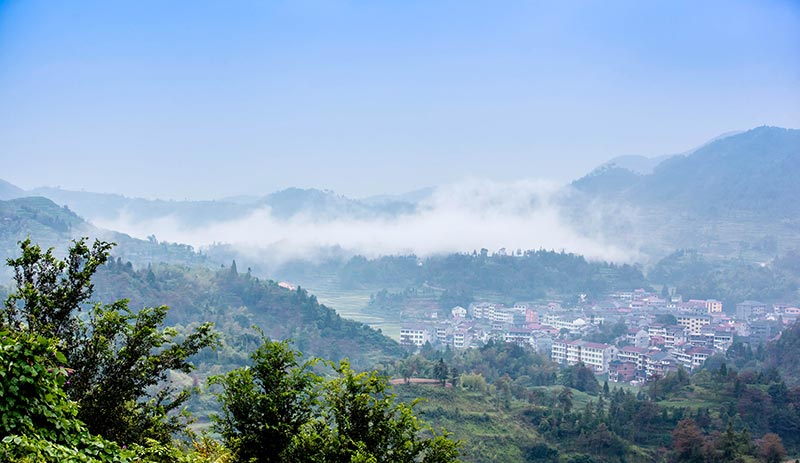 _MG_0241---副本.jpg