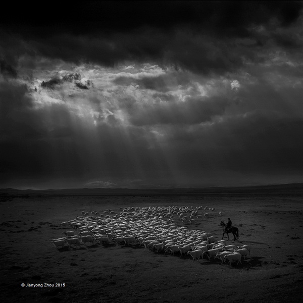 SIEP 景观类金牌  《Backing Home After Grazing》 Jianyong Zhou 中国.jpg