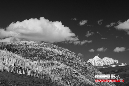 雪山 张辉.png