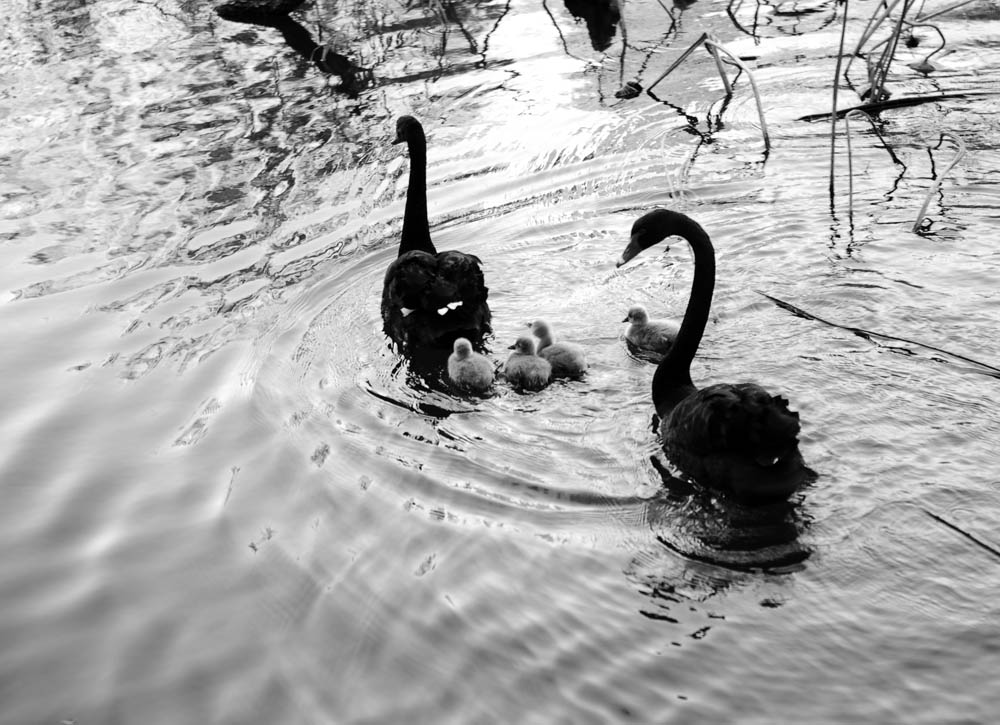 DSC_1213.jpg