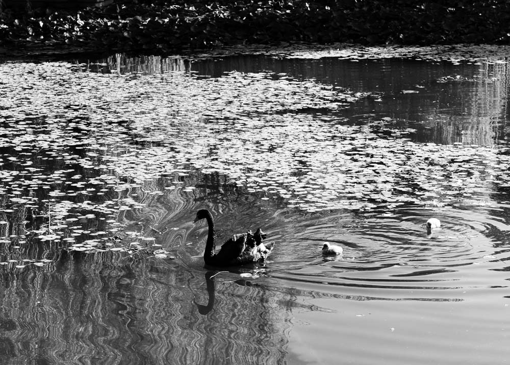 DSC_1237.jpg