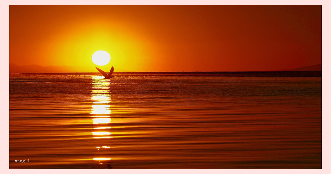 青海湖6.jpg