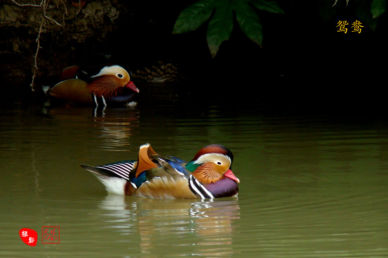 DSC09156_副本.jpg