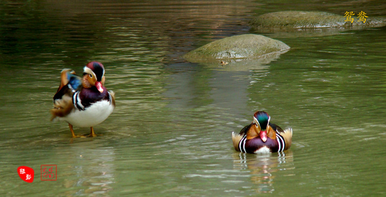 DSC09139_副本.jpg