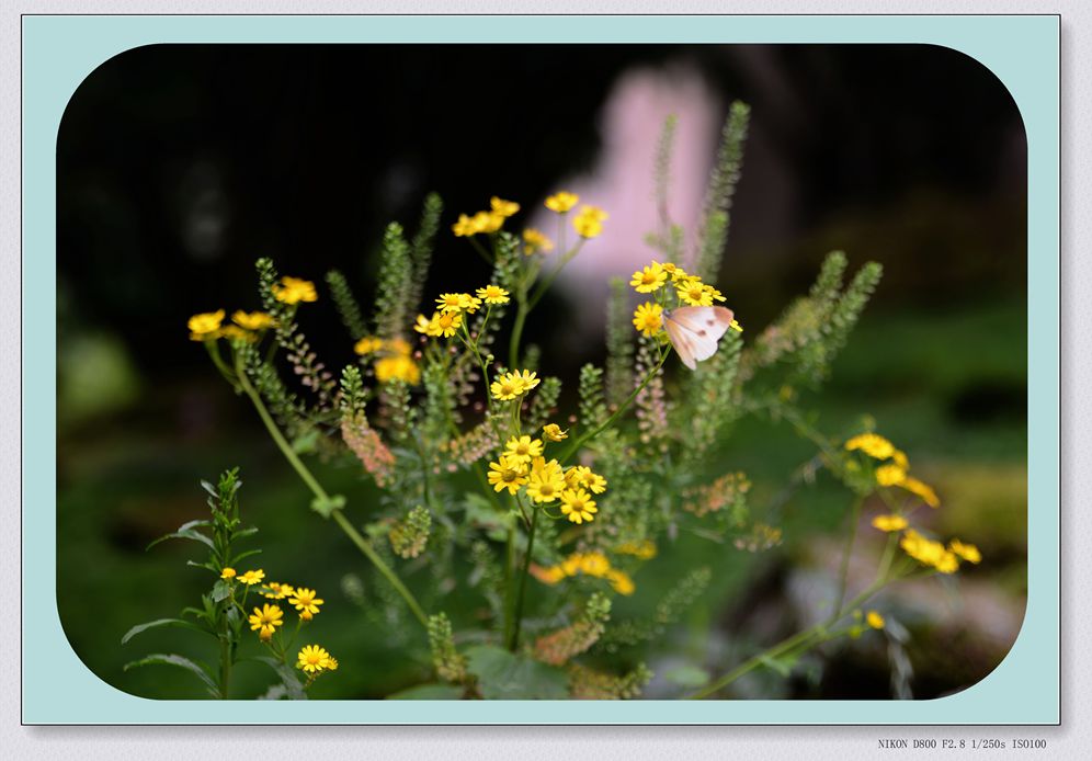 DSC_0040_副本.jpg