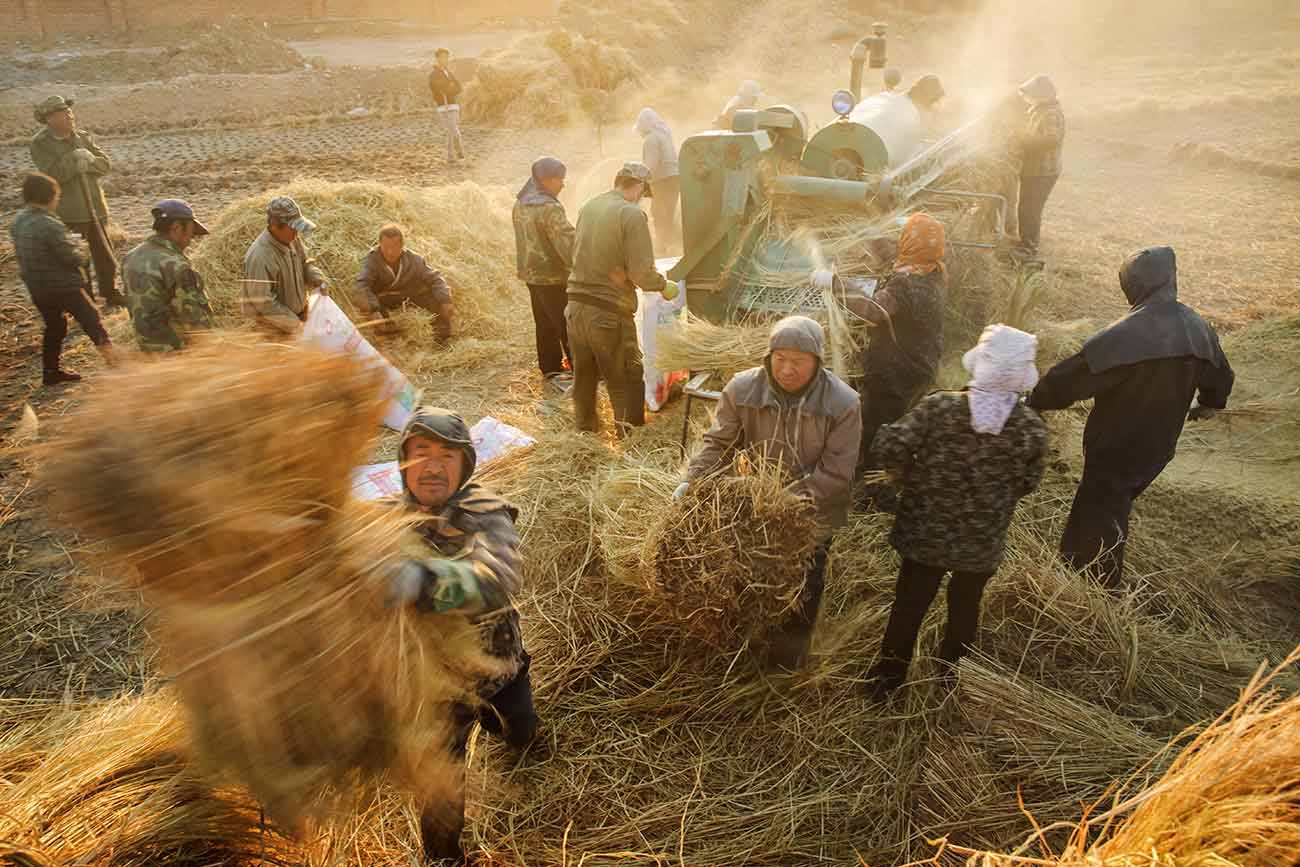 打谷场上4-2.jpg