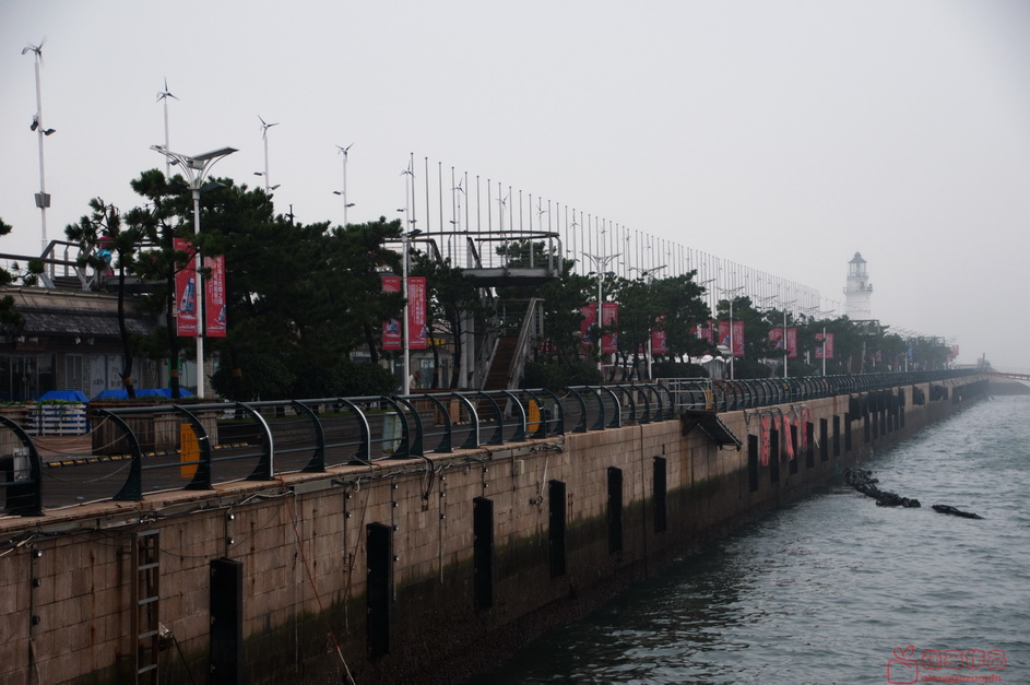 DSC_5614.jpg