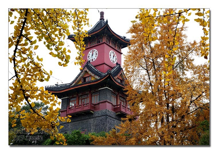 5图-3《中式建筑与枫叶的景》支箭-独创用摄影杆撑相机拍摄于成都.jpg